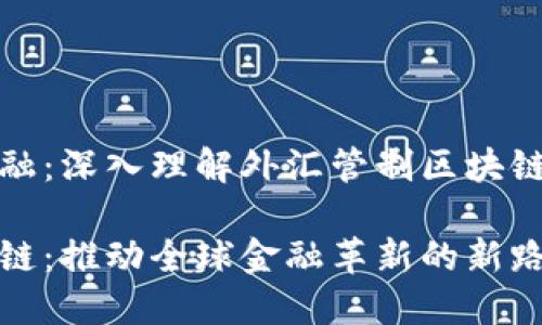 面向未来的金融：深入理解外汇管制区块链的概念与实现

外汇管制区块链：推动全球金融革新的新路径