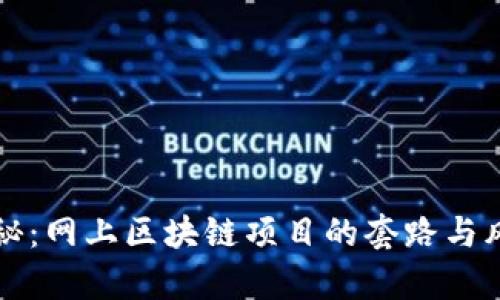 深入揭秘：网上区块链项目的套路与风险分析