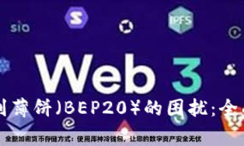 如何解决TP中无法收到薄饼（BEP20）的困扰：全面指导与常见问题解析